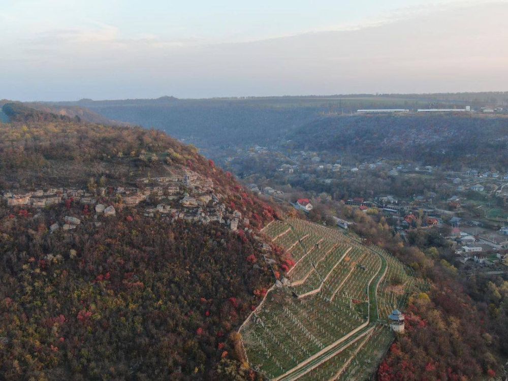 ����� �������� ������� ��������