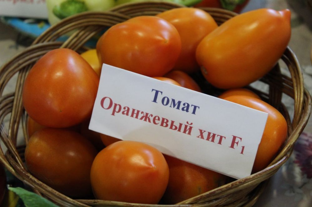 ������������ ��������� � �������� ���������������� ��������