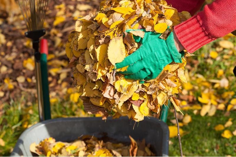 7 ������ - ������������������� ���������