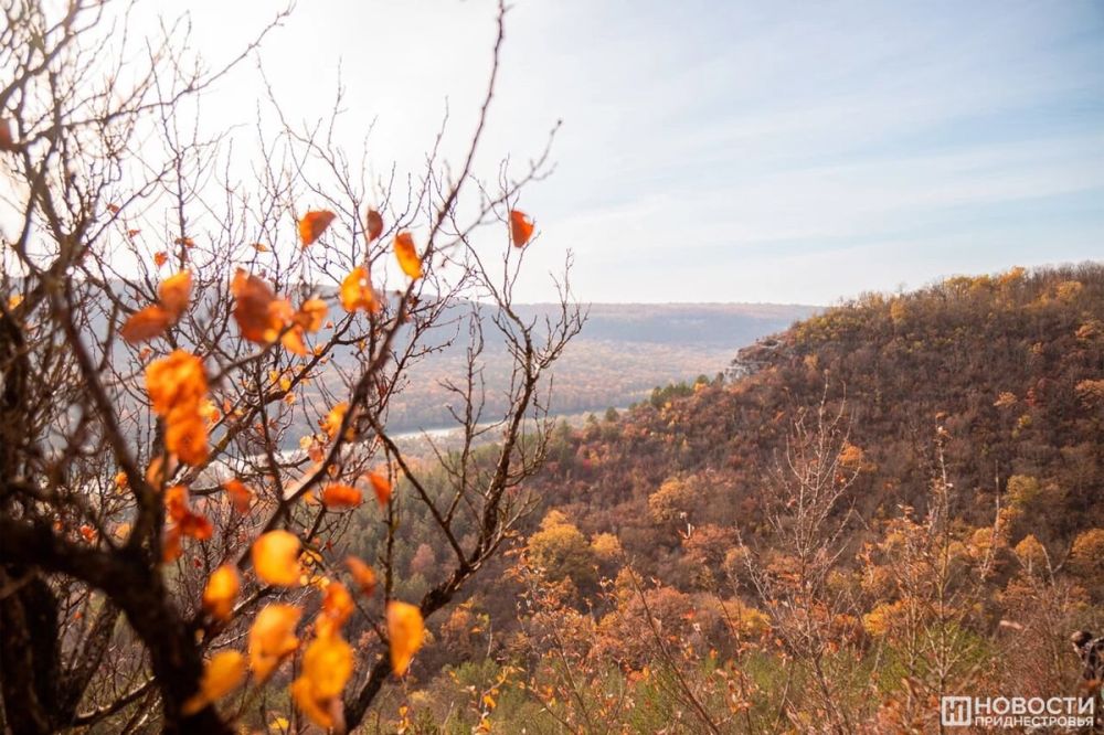 � 5 ������ � ������������� �������� ����� ����� �� ������