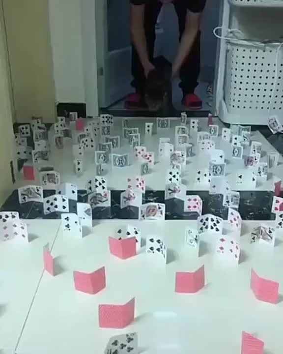 ���������� ����������� �����