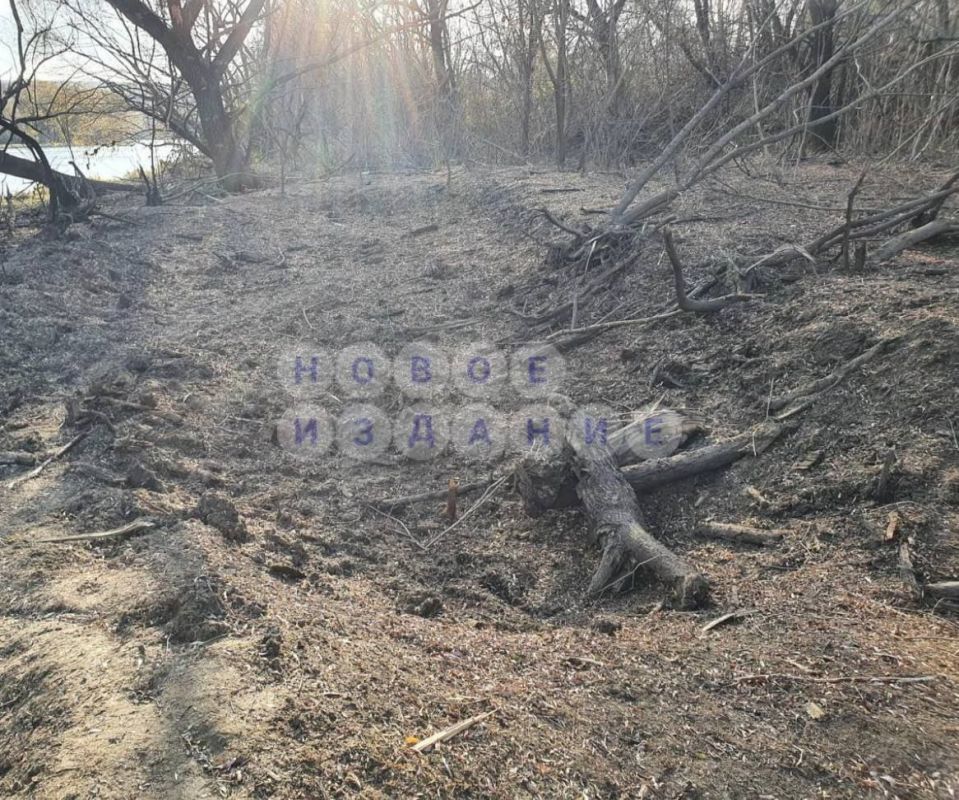 ����� ������� ������ � �.�. �������� � �������