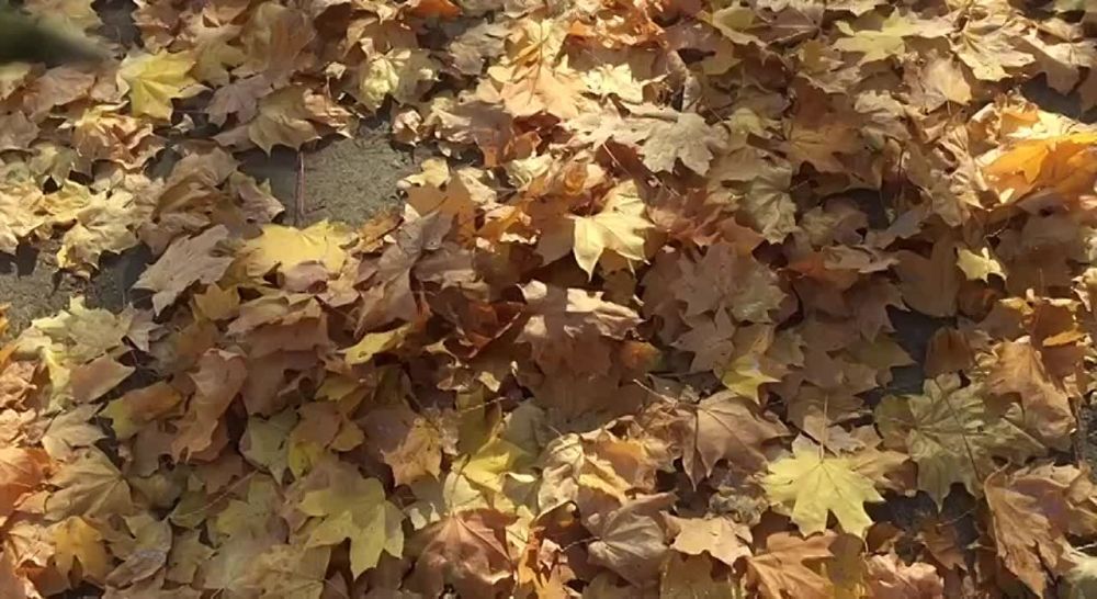 �� ����� �� ������� �������