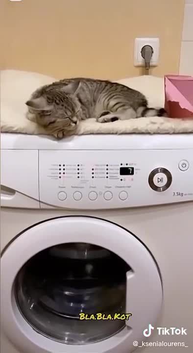 �������� �� ������. ���� ����� ������� ��� ��������� �����������, �� ��� �������� ��� ������