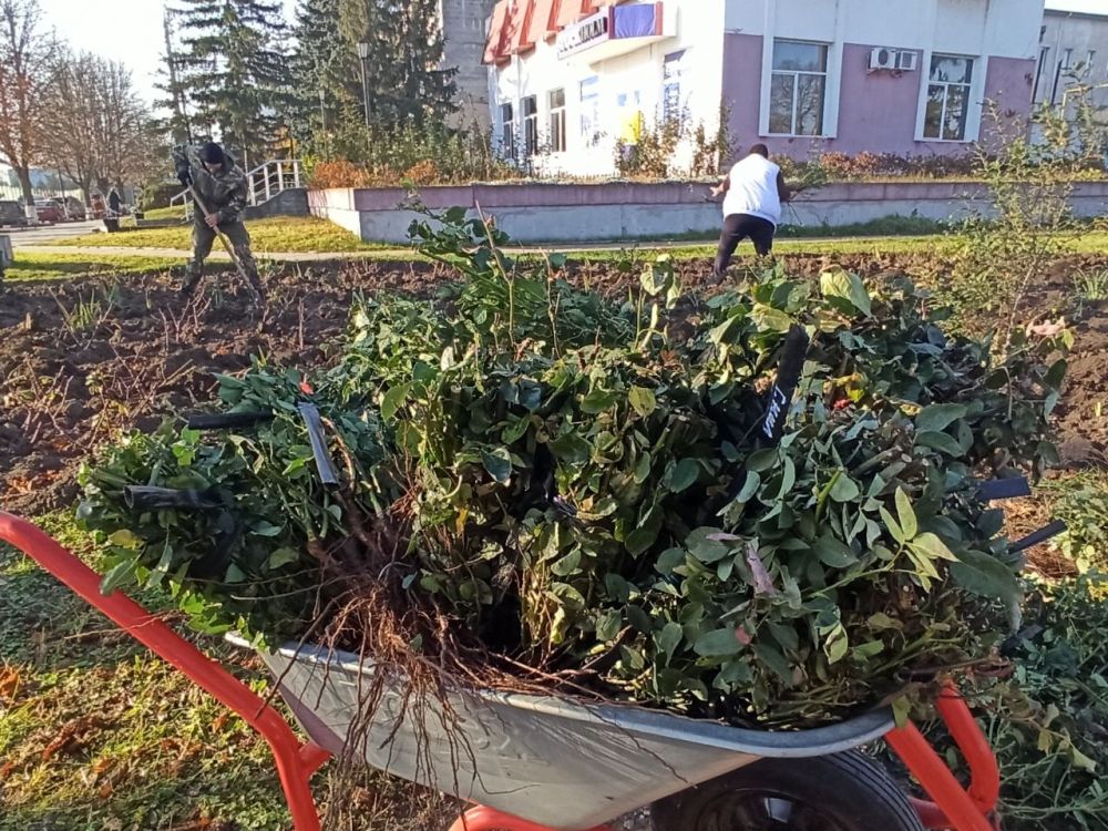 � ���������� ��������� ������������������� ���������