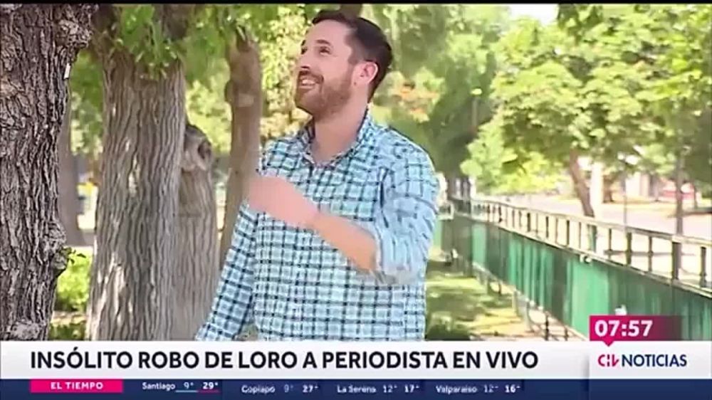 � ���� ����� ������ � �������� � ������ ����� �������