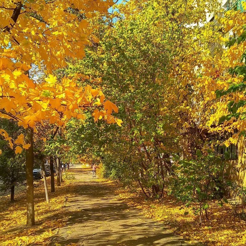 � ������ �� �������� ����������� ������������� ������� ���������