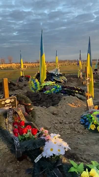 � ��� ������ ���. ������ ��� ��� ������ � ������ � �� ��