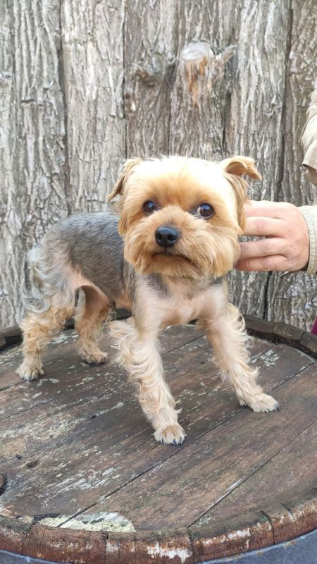 � ��������� � ������ ����� ��������� ������� (�� ��������) ����� ������������ �������