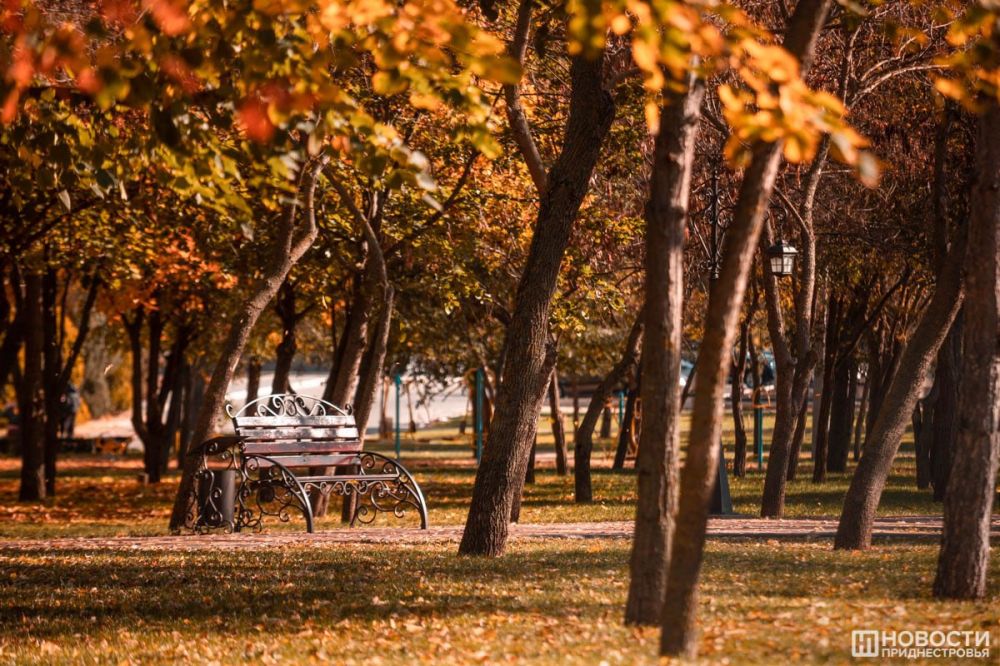 �������� ������ ������ ����� � ������������� �� ��������� ������