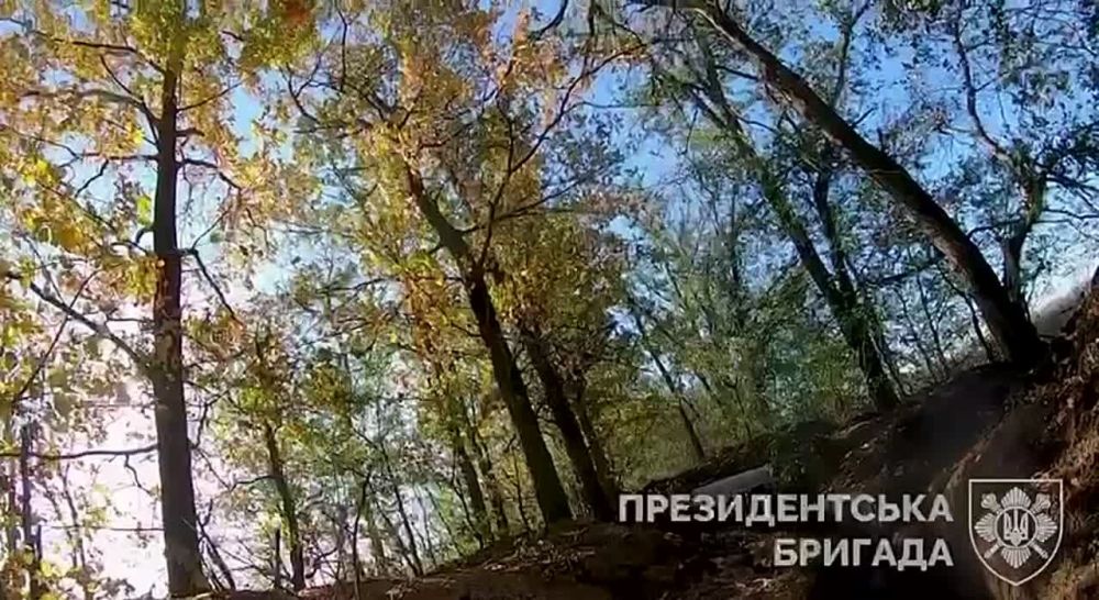 ���������� ������ �������� ������� ��� � �������� �������