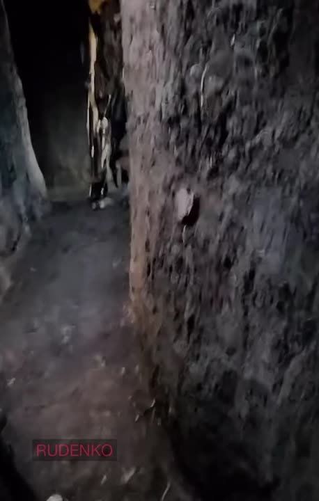 ���������� ������ ������������ � �������� �� ����������� �����������