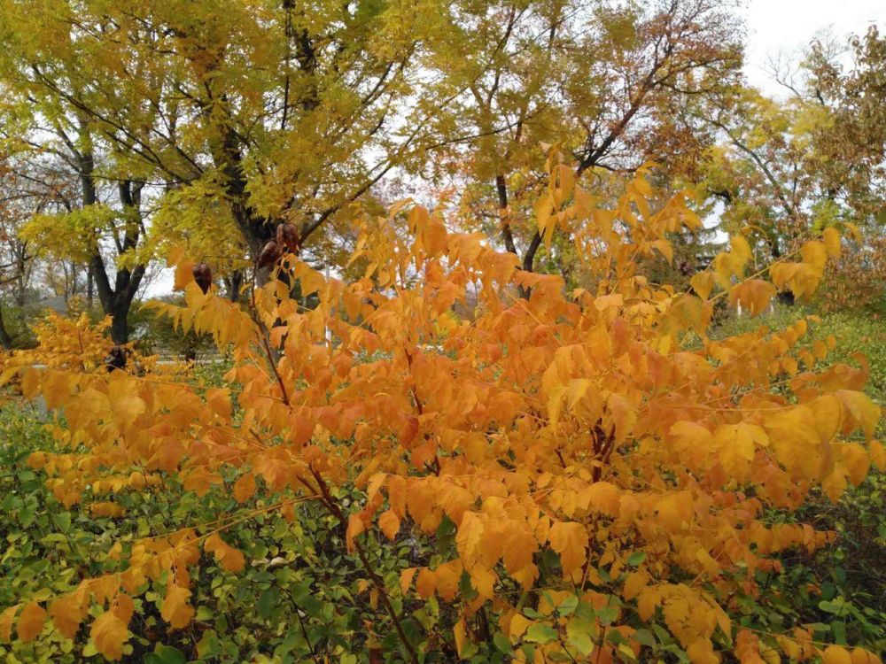 �������, 5 ������, ��������� ���������� ����������, ��� �������, �������� ��������� ����� �� ����� �� � ��