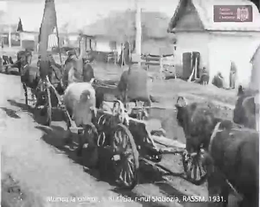 ������ � ������� "������� ����������������", ���� ������, 1931 ���