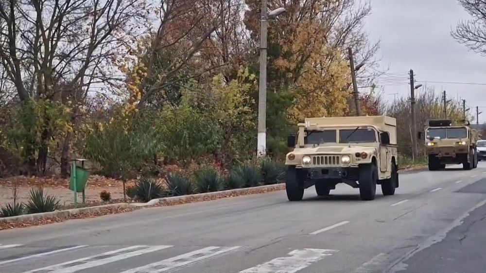 ������������ ������� � ��������, �������� �� �������-��������� ������� ����������