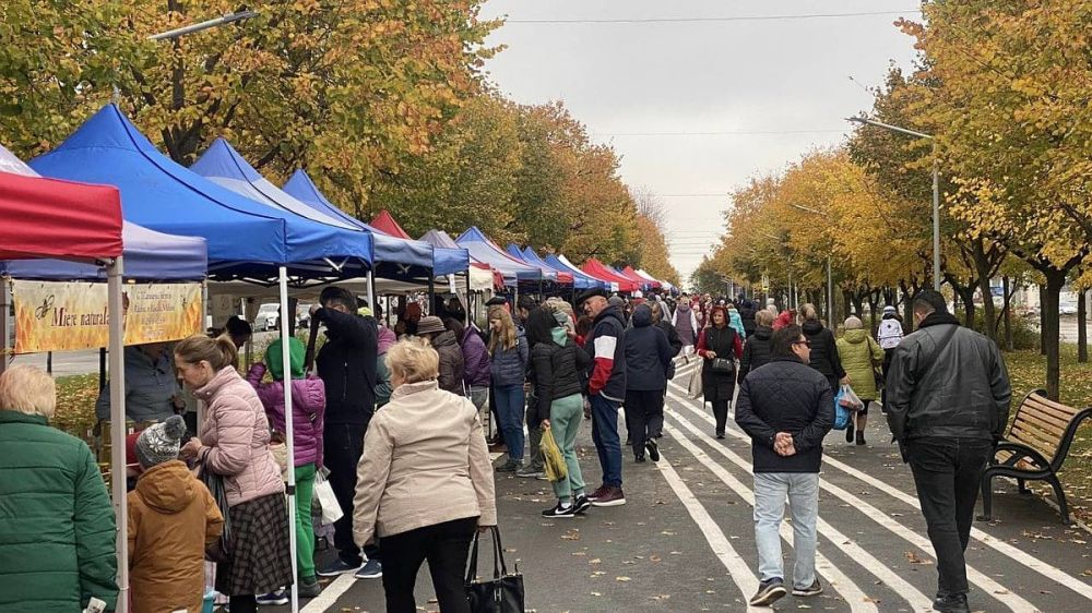 ���� ��������, �� ����� ����������: ��� � �������� � �����������, 6 ������, �������� ������������� ��������, ������� �������� � �����-������ ��������� �����