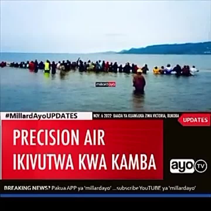 �� ��������������� ������, �� ����� �������� ���������� 49 ���������� � ������ �������� - ������