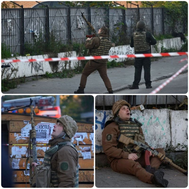 ���������� ��� ������. ������ � �������� ������� ������� ������ � �������� ������ �������� ����������� ���������. ������, ���