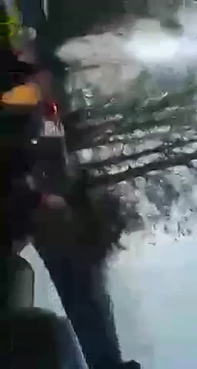 �������� � ���� ������������: �����, �������� � �������������� � ������������ ������������