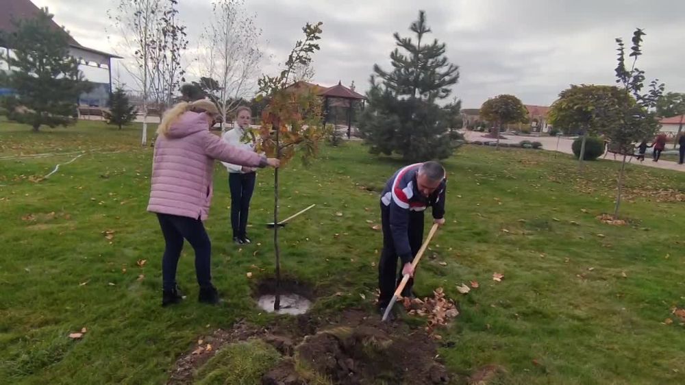 ��������� ������������� ����� �������������� ������ ������� � ������������������� ���������� � ������� ���