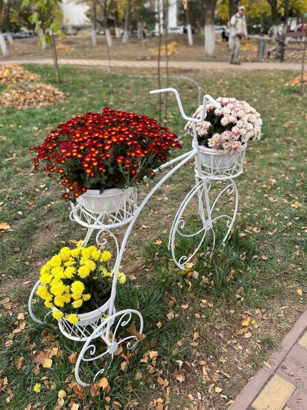 ��������� ������ �� ������