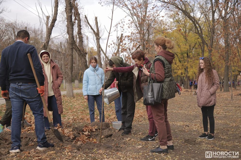 � ������������� ����� "������" �������� � �������� ������� ���������� �����������