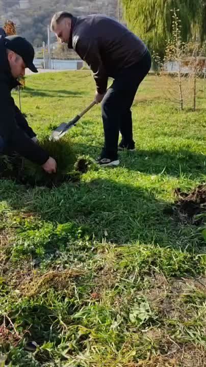 � ����� "����������" ��������� ������� ���