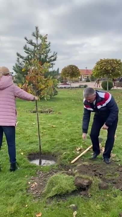 ������ ��� � ����� �������� ��������� � �������� �������� ���