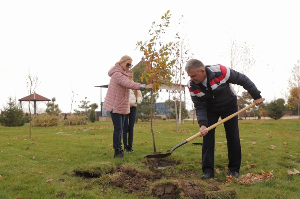 ����������� ���� � ������������� �������� � �������� �����