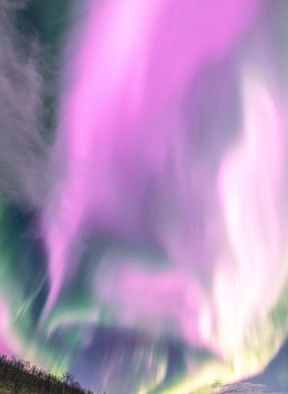 ������� �������� ������ ���������������� � ��������