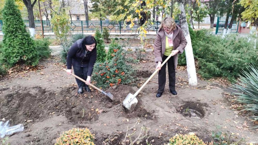 � ������������� ����� ������� �������� 35 ������ ���, 5 �����, 5 ������ � 3 ���