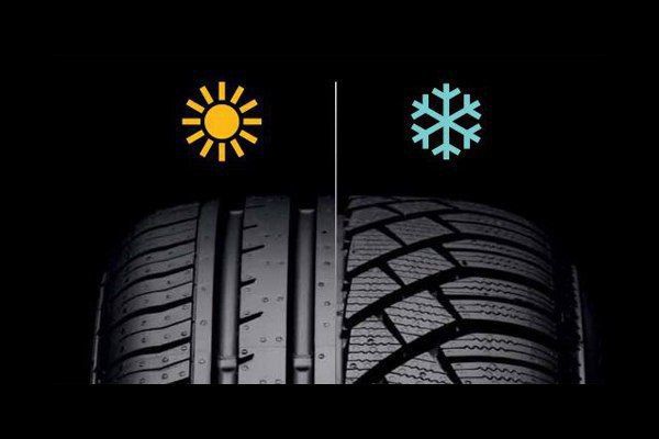 23 ���. - ����� ������� �������� � ��������� ��� ����, ����� "���������" ���� ���������