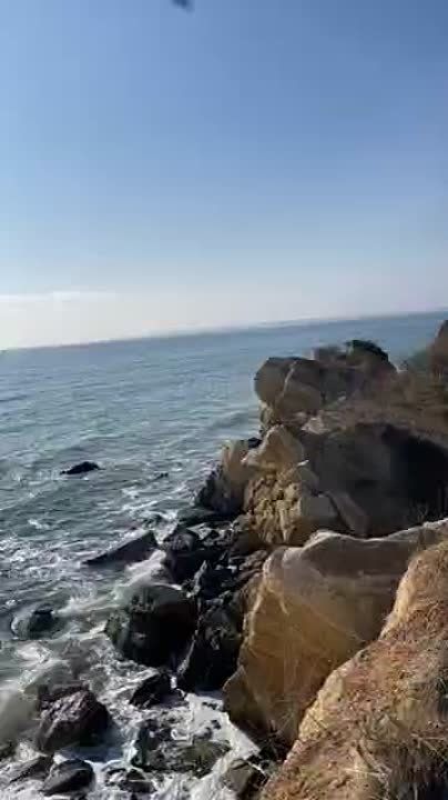 �� ��������� ������ �������� ��������� ������� ����