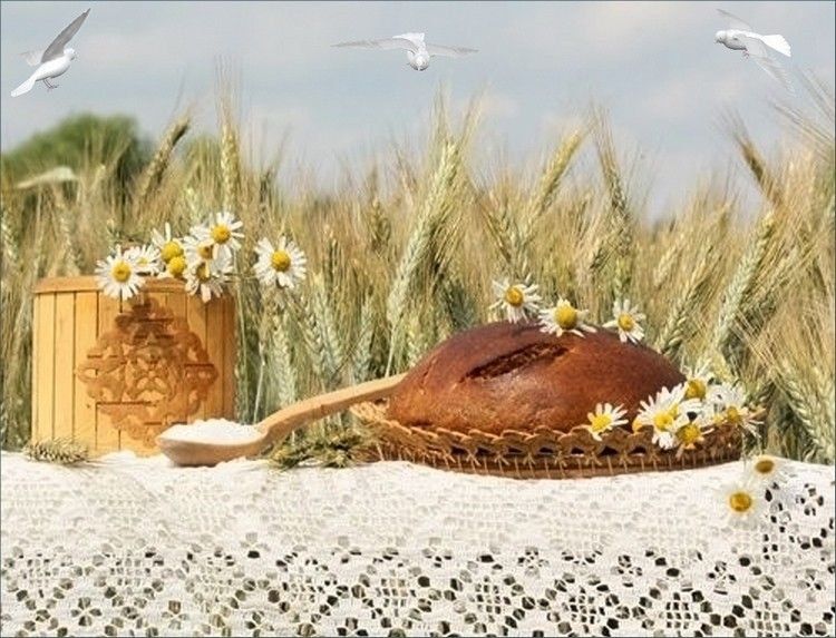 ��������� ������ �� ��������, ������ � �����!