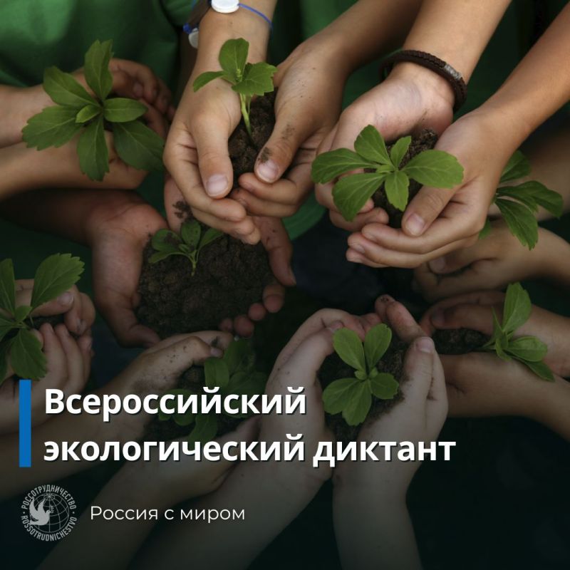 ������������� ����������