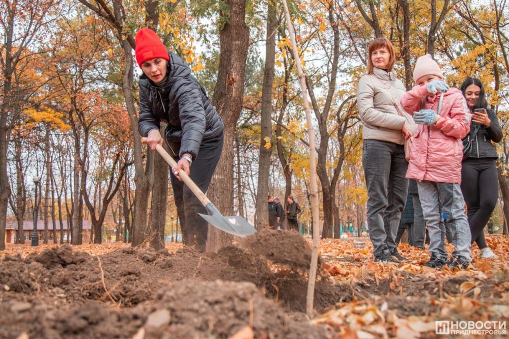 ������������� �������� � ���� ���������������� ���������� ������ �������� � ������