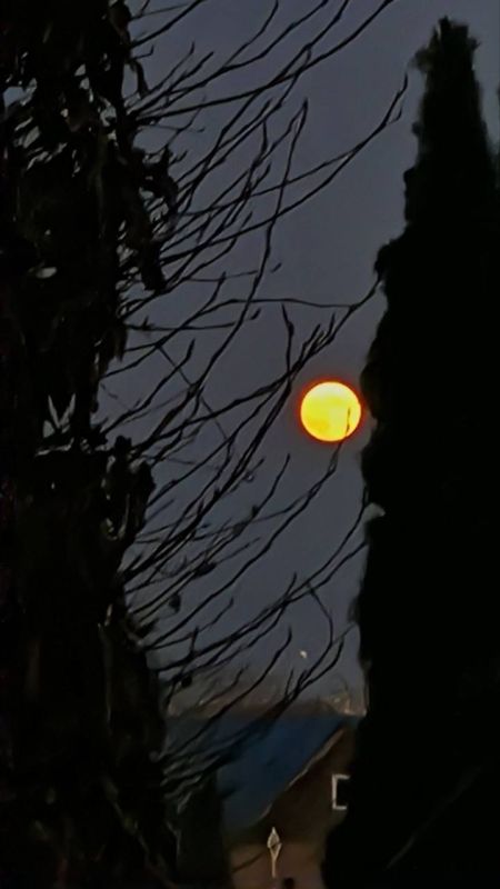 �������� ���������� � ���������