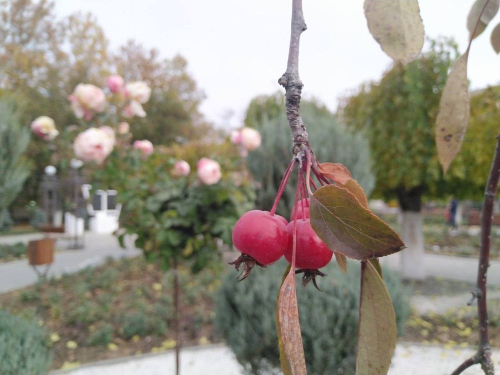 9 ������ ��������� ���������� ����������, ��� �������