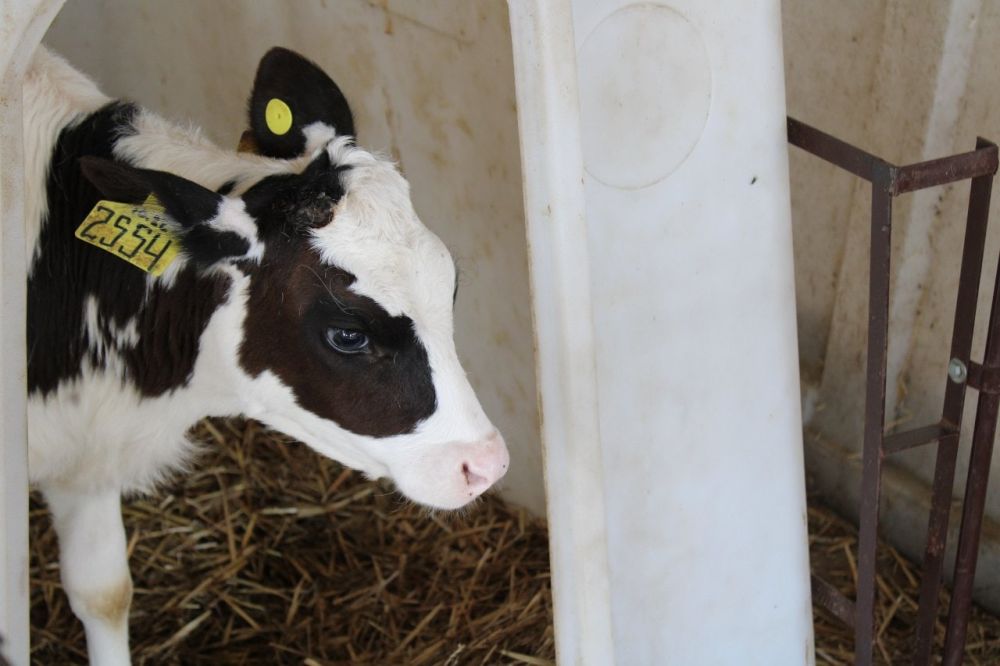 �����, ����, ������ � ������ �������!