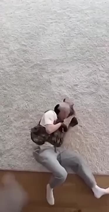 � ������ �������� ��� ����� ������ ��������, ������� ���� ������� �� ��, ��� ���������� ������� � ���� ��� ���������� �� ���� �������, �������� ��� ���������� ���������� ����