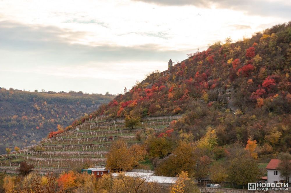 � ��� �������� ������� ������� ������������� ������