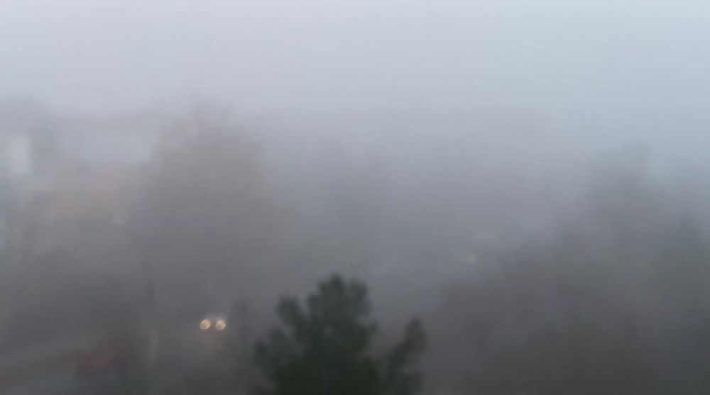 �� ����� ������� �����. ������ ���������� �� ������