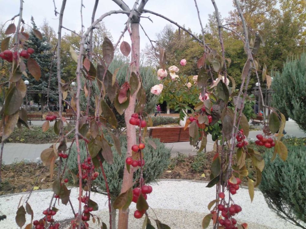 10 ������ ��������� ���������� ����������, ��� �������