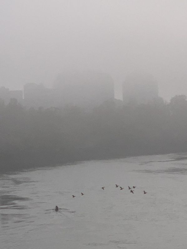 �������� ������� ���� � ���������