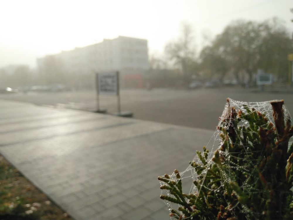 �������� ����� � �������� ������� ������ ������������� ����