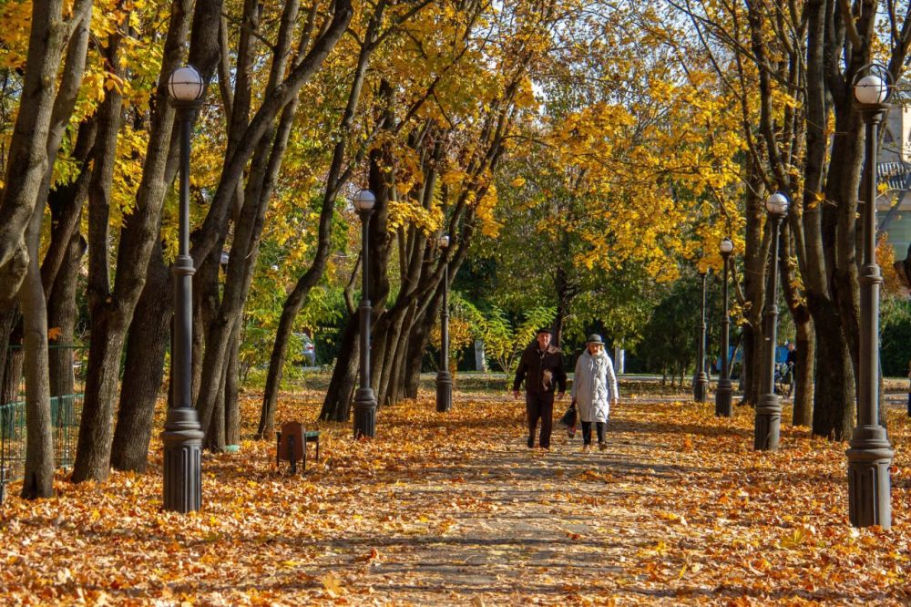 �����. ����� ������ ������ ���� � ������������� ����� �������, ����������, ��������� ��������, ������������� ������������ � ���� �������. ��� ������� ����� ��� ������� ����������!