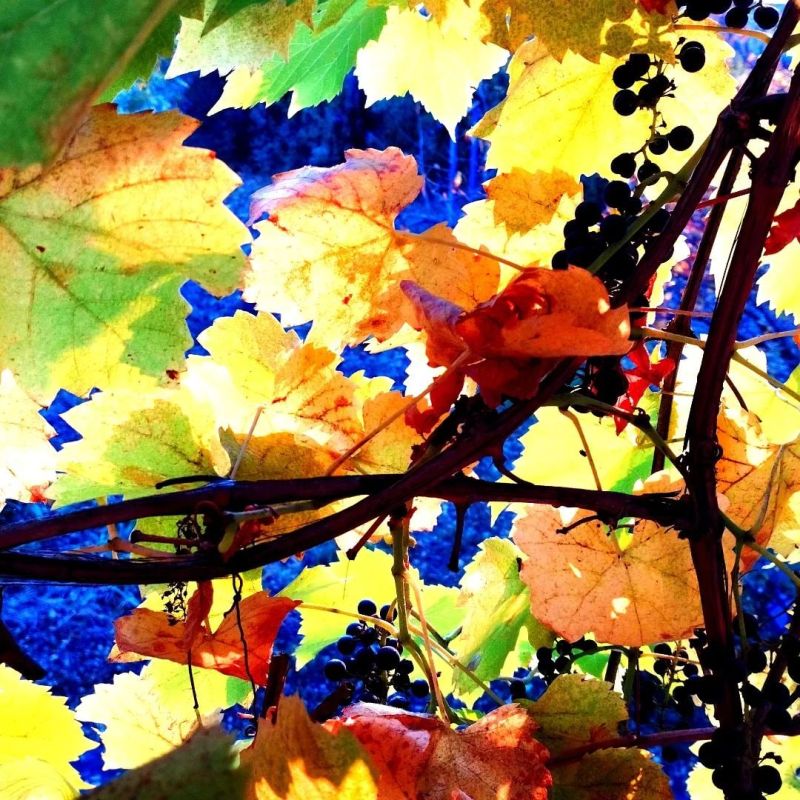 �������, 10 ������, ��������� ���������� ����������, ��� �������