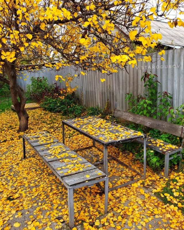 ������������ ������. �����