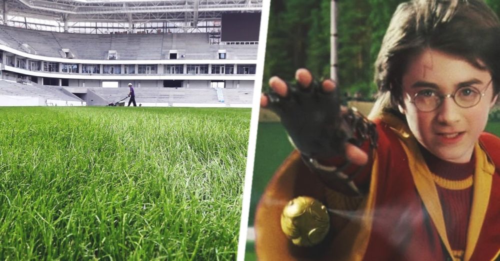 ������. ��� ������� �� ������������ ���������