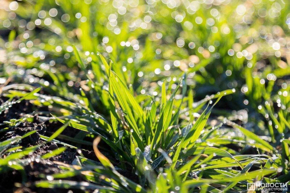 ��������������� ����������� ������� � ���������� ����� � �����